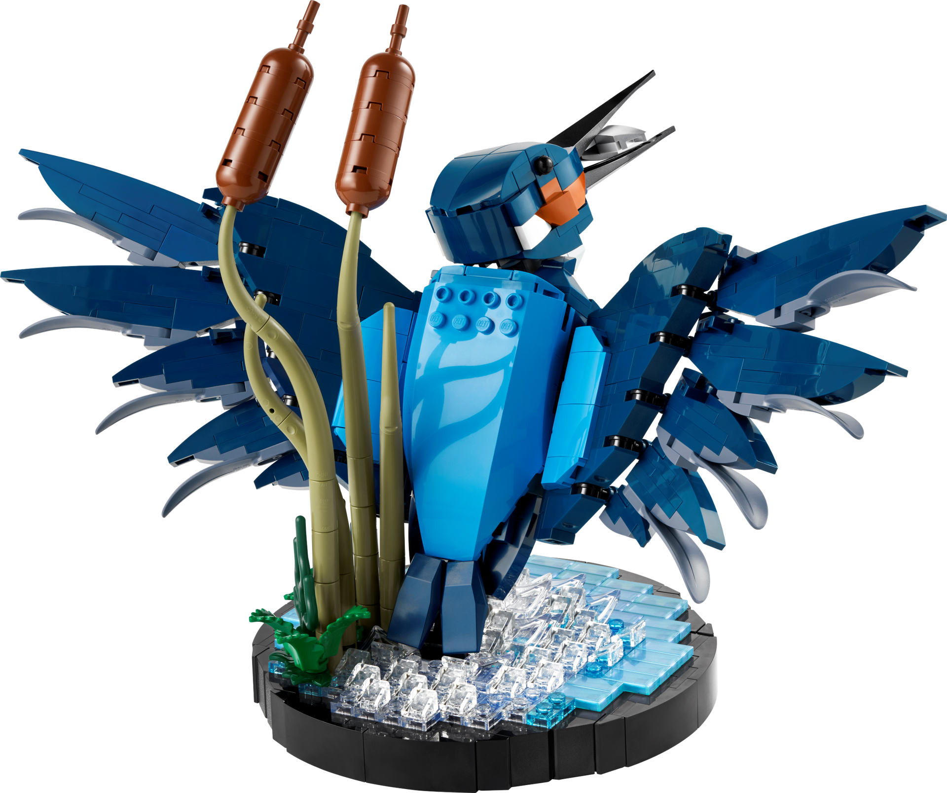 LEGO Icons 10331 - Le martin-pêcheur