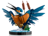 LEGO Icons 10331 - Le martin-pêcheur