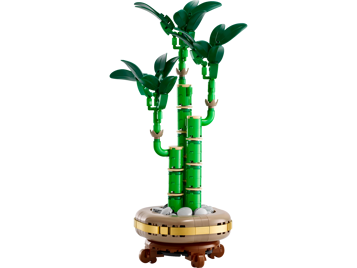 LEGO The Botanical Collection 10344 - Le bambou de la chance