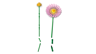 LEGO The Botanical Collection 10347 - Petit bouquet ensoleillé