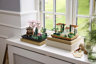LEGO Icons 10359 - Le jardin andalou