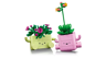LEGO Botanicals 11506 - Petites plantes dansantes