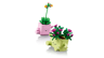 LEGO Botanicals 11506 - Petites plantes dansantes