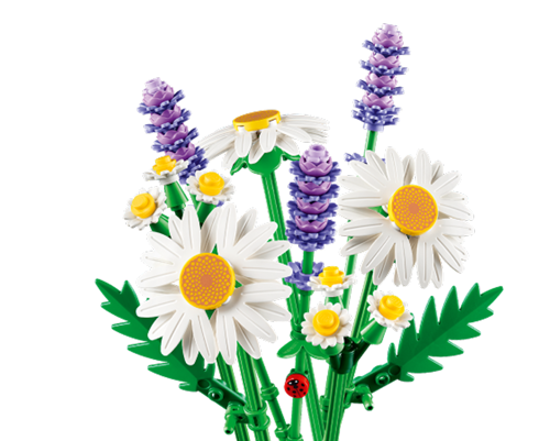 LEGO The Botanical Collection 11508 - Marguerites