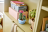 LEGO The Botanical Collection 11509 - Cactus fleuri