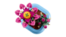 LEGO The Botanical Collection 11509 - Cactus fleuri