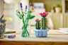 LEGO The Botanical Collection 11509 - Cactus fleuri