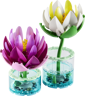 LEGO Botanicals 11511 - Les nénuphars