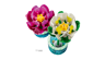 LEGO Botanicals 11511 - Les nénuphars