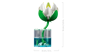LEGO Botanicals 11511 - Les nénuphars