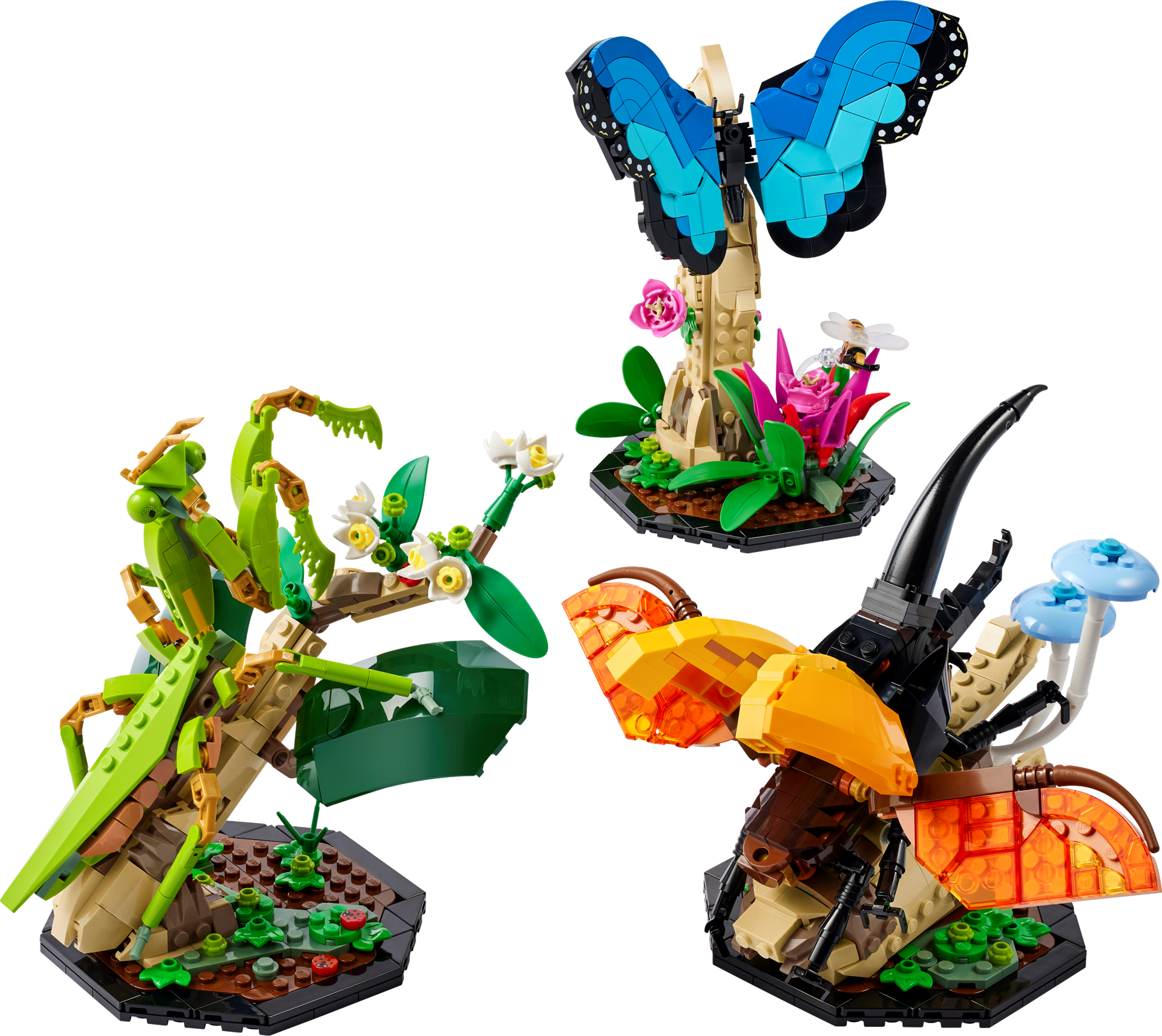 LEGO Ideas 21342 La collection d'insectes - les trois modèles assemblés : papillon bleu, mante religieuse et scarabée hercule