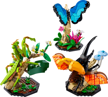 LEGO Ideas 21342 La collection d'insectes - les trois modèles assemblés : papillon bleu, mante religieuse et scarabée hercule