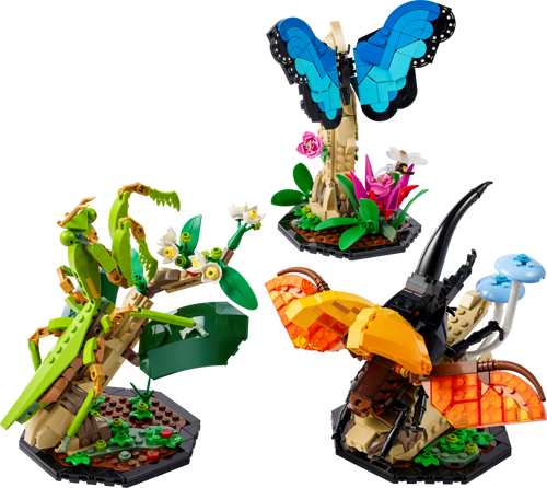 LEGO Ideas 21342 La collection d'insectes - les trois modèles assemblés : papillon bleu, mante religieuse et scarabée hercule