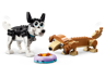 Husky LEGO noir et blanc avec collier et teckel marron remuant la queue près d'une gamelle violette remplie de croquettes