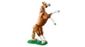 LEGO Creator 3-en-1 31166 - Le beau cheval