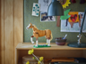 LEGO Creator 3-en-1 31166 - Le beau cheval