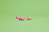LEGO Creator 3-en-1 31170 - Animaux sauvages : le flamant rose