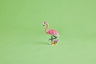 LEGO Creator 3-en-1 31170 - Animaux sauvages : le flamant rose