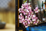 LEGO Art 31218 - Les cerisiers en fleurs