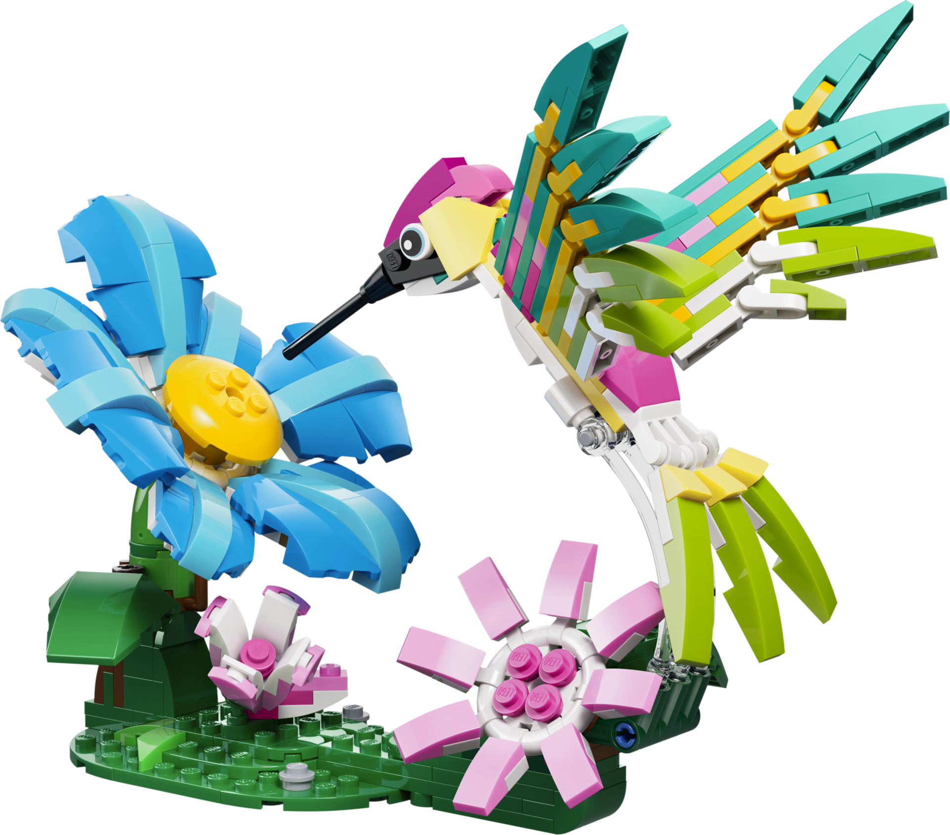 LEGO Creator 3-en-1 31384 - Animaux sauvages : le colibri coloré