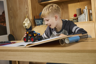 LEGO Technic 42219 - Monster Jam™ Grave Digger™ - Feu et glace