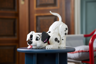LEGO Disney 43269 - Le Chiot des 101 Dalmatiens