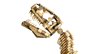LEGO Jurassic World 76968 - Les fossiles de dinosaures : le Tyrannosaurus rex