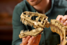 LEGO Jurassic World 76968 - Les fossiles de dinosaures : le Tyrannosaurus rex