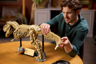 LEGO Jurassic World 76968 - Les fossiles de dinosaures : le Tyrannosaurus rex