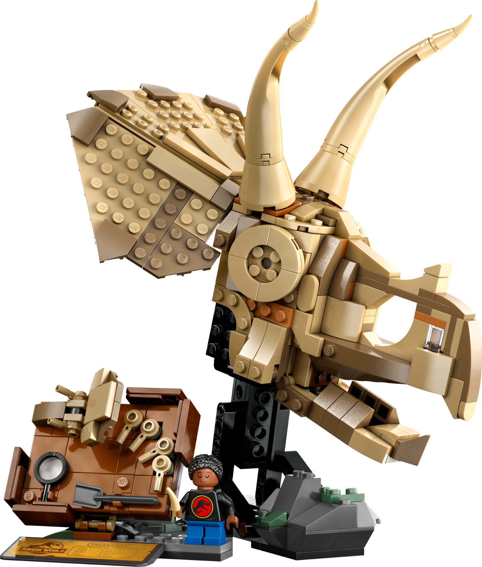 LEGO Jurassic World 76969 - Les fossiles de dinosaures : le crâne du tricératops